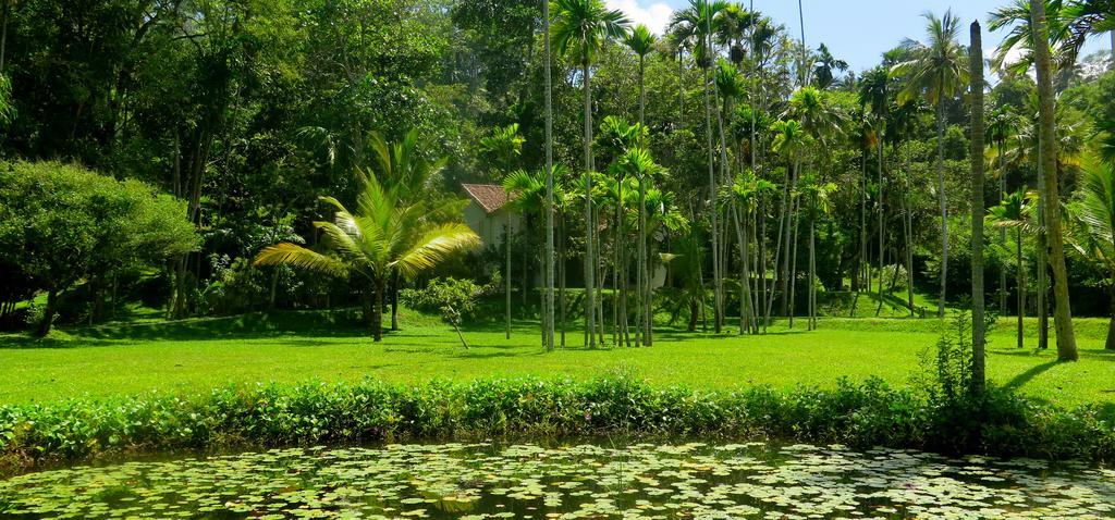 Siri Wedamadura Villa Weligama Pokój zdjęcie